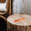 10Stk Holz Räucherstäbchenhalter (Khaki) 8