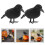 2Stück Halloween Modell Deko Simulationskrähe 3