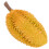 Künstliches Durian Modell Fotorequisite 11
