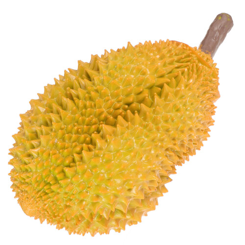 Künstliches Durian Modell Fotorequisite 2