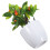 Simulierte Erdbeerornamente 23X13X8 Cm Rot 1