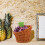 2 Rattan Obstkorb Lebensmittel Servierplatte 8