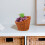 2 Rattan Obstkorb Lebensmittel Servierplatte 2