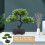 Árvore Bonsai Artificial Decorativa Vaso Para Casa 11