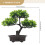 Árvore Bonsai Artificial Decorativa Vaso Para Casa 2