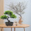 Árvore Bonsai Artificial Decorativa Vaso Para Casa 8