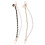 2Pcs Charme De Pendurar Com Para 10