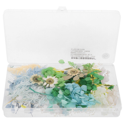 Eine Box Getrocknete Für DIY Kunsthandwerk