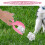 Wear Resistant Pooper Scooper Pink ABS Zubehör 1 8