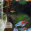 Transparante Visvoer Tool Aquarium 1 11