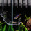 Transparante Visvoer Tool Aquarium 1 9