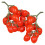 2Stk Simulation Cherry Tomaten Fruchtmodell Dekoobst 9