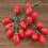 2Stk Simulation Cherry Tomaten Fruchtmodell Dekoobst 3