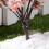 6Stk Simulation Baum Mikro Sukkulenten Garten ( ) 10