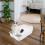 Durable Katzenklos Für , Kitten- , Anti-Splitter- 11
