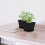 10 Mini Blumentöpfe Bonsai Topf Kunststoff Desktop 9