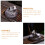 Ceramic Backflow Weihrauchbrenner Fünfzackiger Stern Sand 11