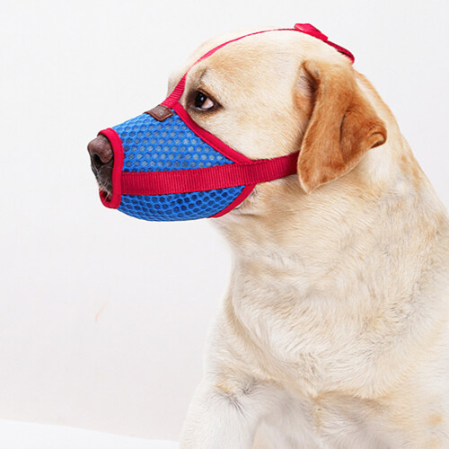 Muzzles Für Muzzle Für 2