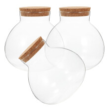 3 Piezas Transparente Vidrio Con Micropaisaje