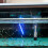 6 Unidades 50 Mm Incubadora Cichlids ( ) 3