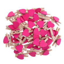 100 Stuks Fotoknijpers Fotodrager Papierklem Clip