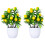 2 Pezzi Bonsai Albero In Per 7