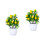 2 Pezzi Bonsai Albero In Per 9