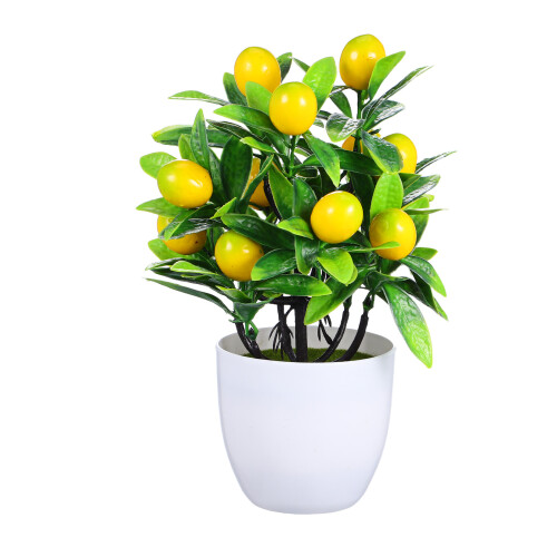 2 Pezzi Bonsai Albero In Per 2