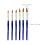 6 Pezzi Per Nail Art , Penna Unghie 7