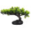2 Stuks Sushi Maakset Queue Decoratie Sashimi 2