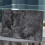 Stone Decoratieve Aquarium Achtergrond Tank Achtergrond 10