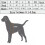 Product Lijn Hond Kettingring 3