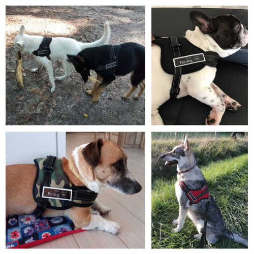 Product Lijn Hond Kettingring 1