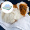 10 Hamsterbenodigdheden Huisdier 11