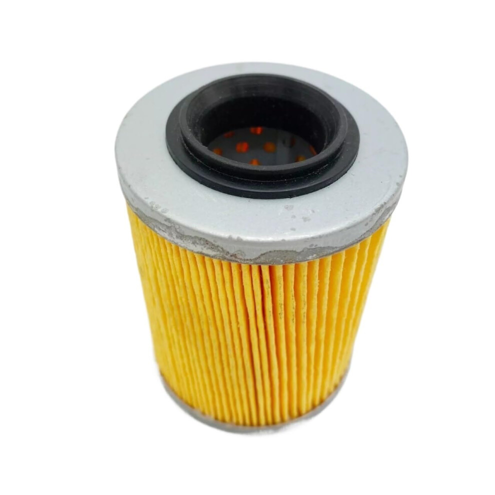 Motorcycle Repair Oil Filter For Hs800 Hs1000 Atv Utv 800 1000 Compatible With Hisun Massimo Coleman Bennche Ys Hs Msu 9393856398294