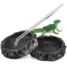 Reptilien Wasserschale Futterstation Mit Für Schildkröten Echsen