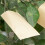 100Stk Rechteckige Samenbehälter Kraftpapier 7