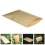 100Stk Rechteckige Samenbehälter Kraftpapier 4