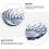 Masteelf Snackteller Kreatives Tablett 27x6,3 Cm 11