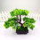 Árvore De Bonsai Artificial De Verde Para Decoração 4