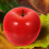 10St Kunstmatige Appels Foam Modellen Voor School 9