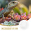 2 Schale Reptilienfutter Gecko 10