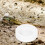 2 Schale Reptilienfutter Gecko 5