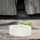 2 Schale Reptilienfutter Gecko 6