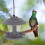 Metal Vogelfutterhäuschen Outdoor Vogelfutterstation Grau 1 6