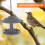 Metal Vogelfutterhäuschen Outdoor Vogelfutterstation Grau 1 7