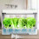 1Set Hydroponische Plantcup Wit Voor Zaailingen En 7