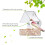 Vogelkäfig Transparente Wandmontierte Vogelfutterstelle 9