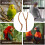 2St Vogelstandstang Hout Activiteit En Accessoire 10