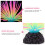Realistische Siliconen Zee- Decor Met Resin Basis 10